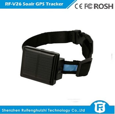 China manufacturer solar powered cow/sheep/dog gps tracker for big animal with voice monit